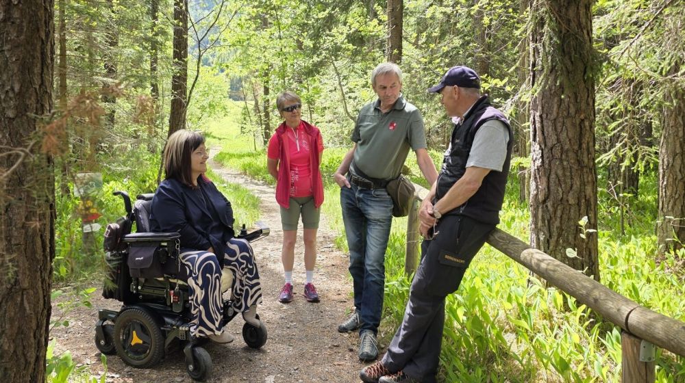 Besichtigung im Wald